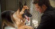 Cats & Dogs: The Revenge of Kitty Galore (Image via Warner Bros)